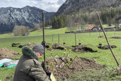 garten_pflanzen